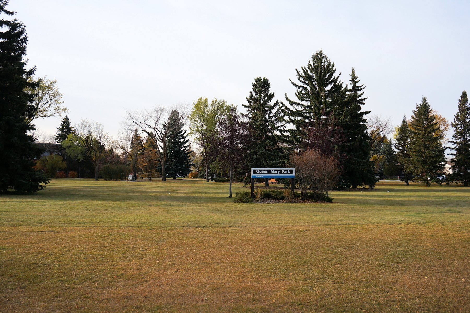 Queen Mary Park Edmonton Homes For Sale, Queen Mary Park Real Estate